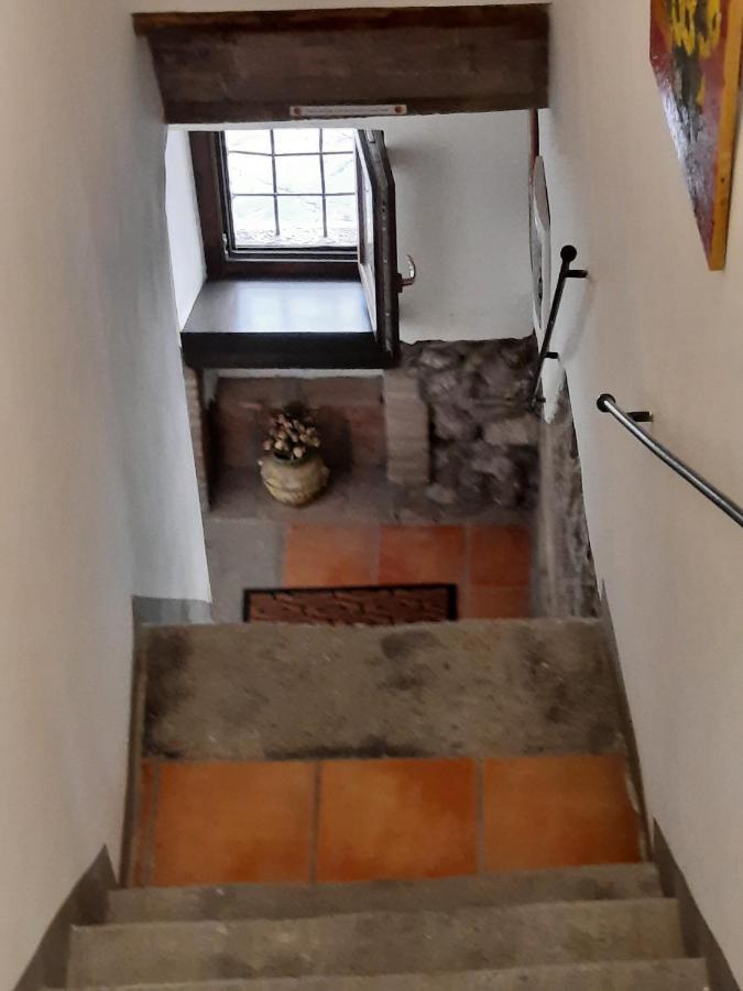 Viterbo Alloggio Turistico Hipster House Zewnętrze zdjęcie