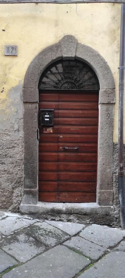 Viterbo Alloggio Turistico Hipster House Zewnętrze zdjęcie